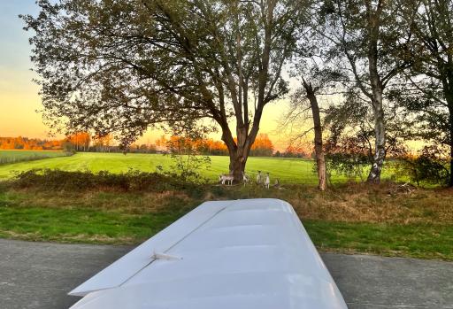 50  Schattigste toeschouwers @ EBWE, Evy Van Gansen