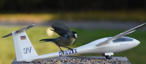 15  Ecologische thuisbrenger