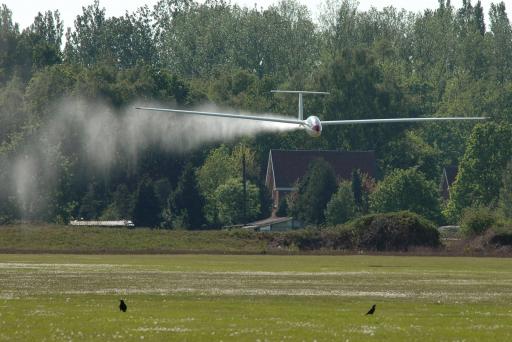 51  Birds shower