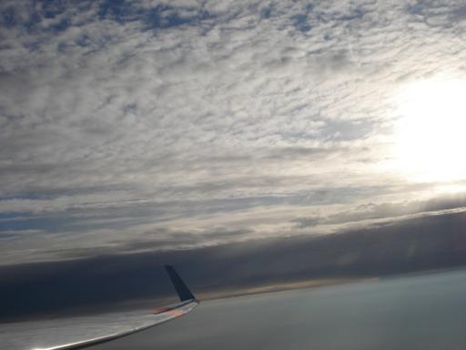 29  Sylvester  amp  Smogvliegen in Zwartberg 3