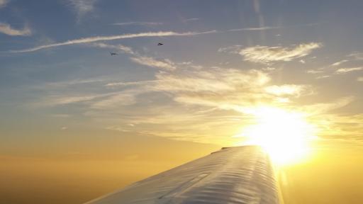 49  last tow before sunset