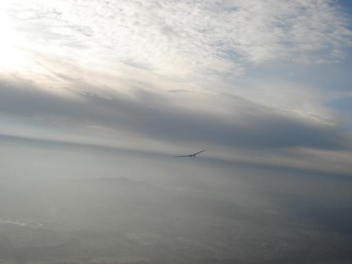 31  Sylvester  amp  Smogvliegen in Zwartberg 5