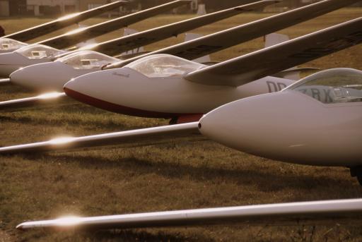 22  Neusjes van de zalm