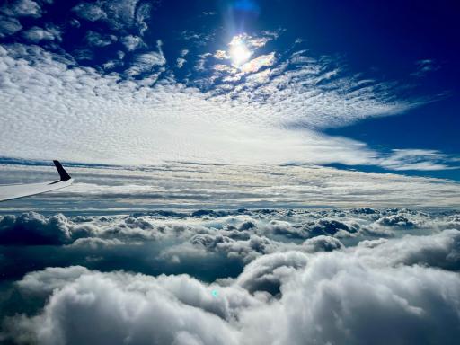 45  Why gliders need an engine, Pieter Daems